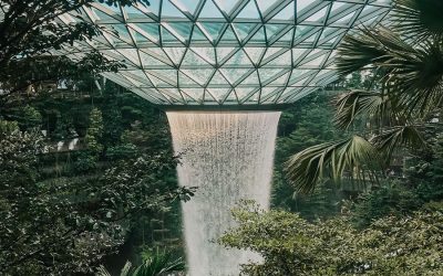 Singapore and their Greening Policy | City Spotlight